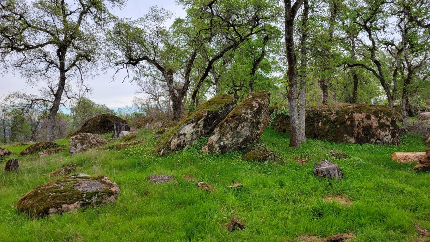 Bald Mountain Road, Browns Valley, California image 19