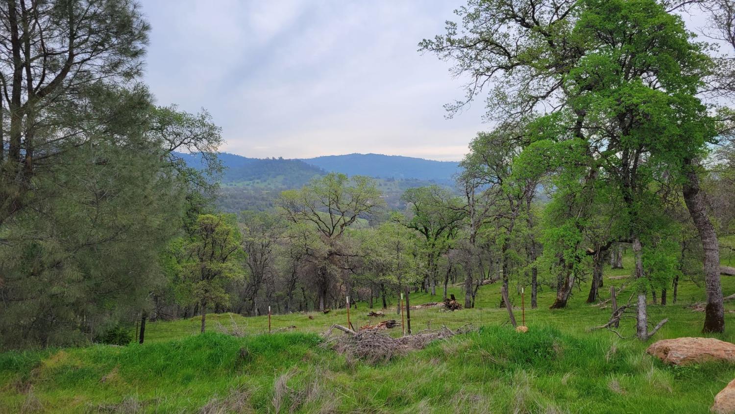 Bald Mountain Road, Browns Valley, California image 18