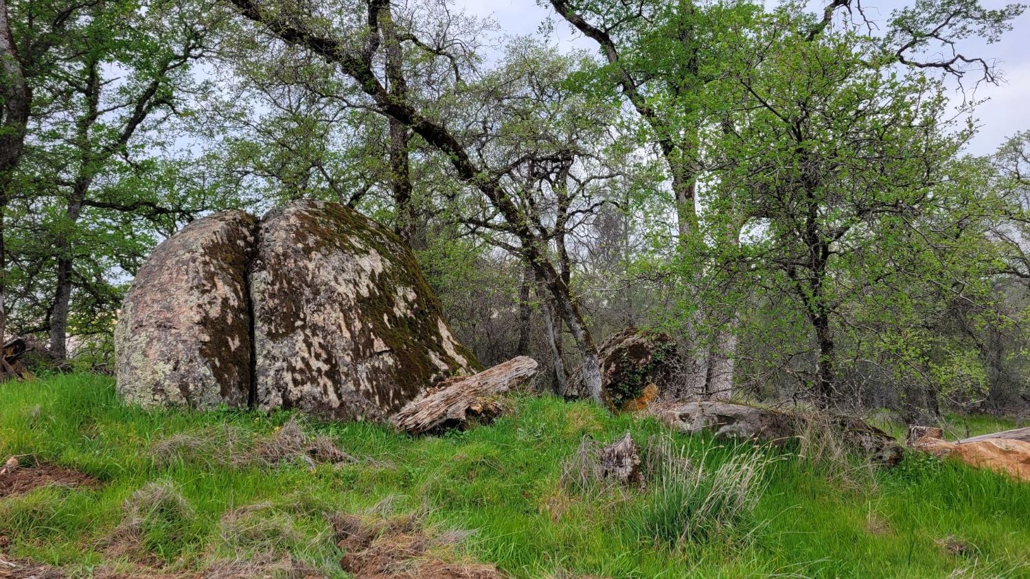 Bald Mountain Road, Browns Valley, California image 10