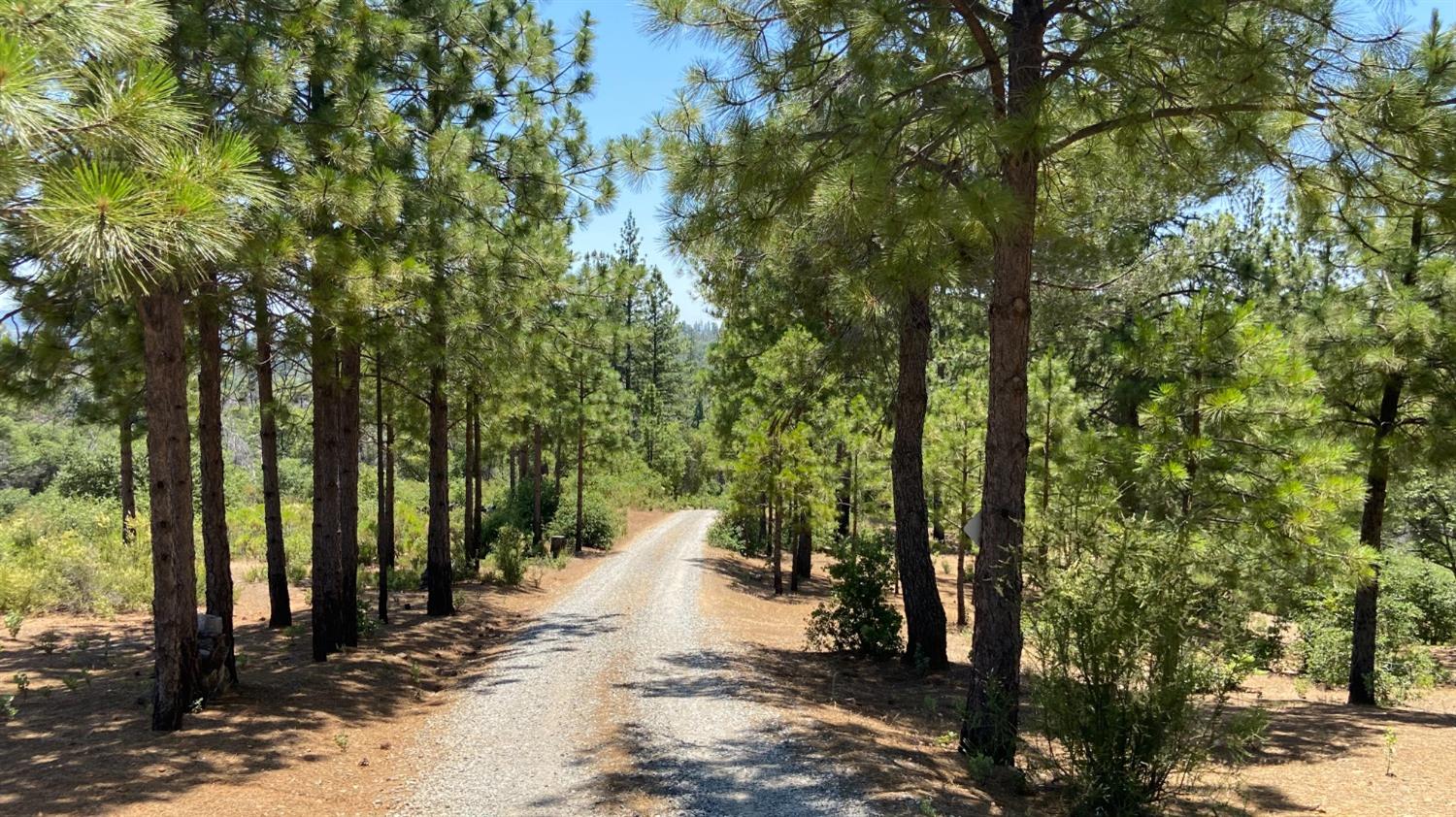 Lakeside Dr., Mountain Ranch, California image 9