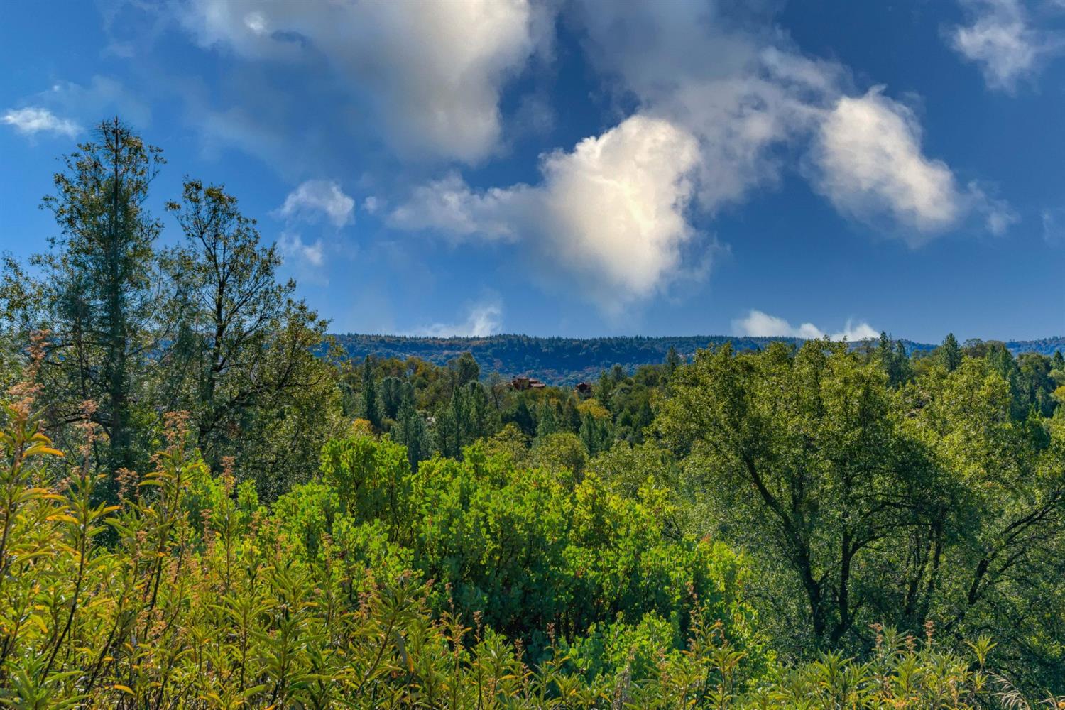 Wildlife Trail, Fiddletown, California image 3