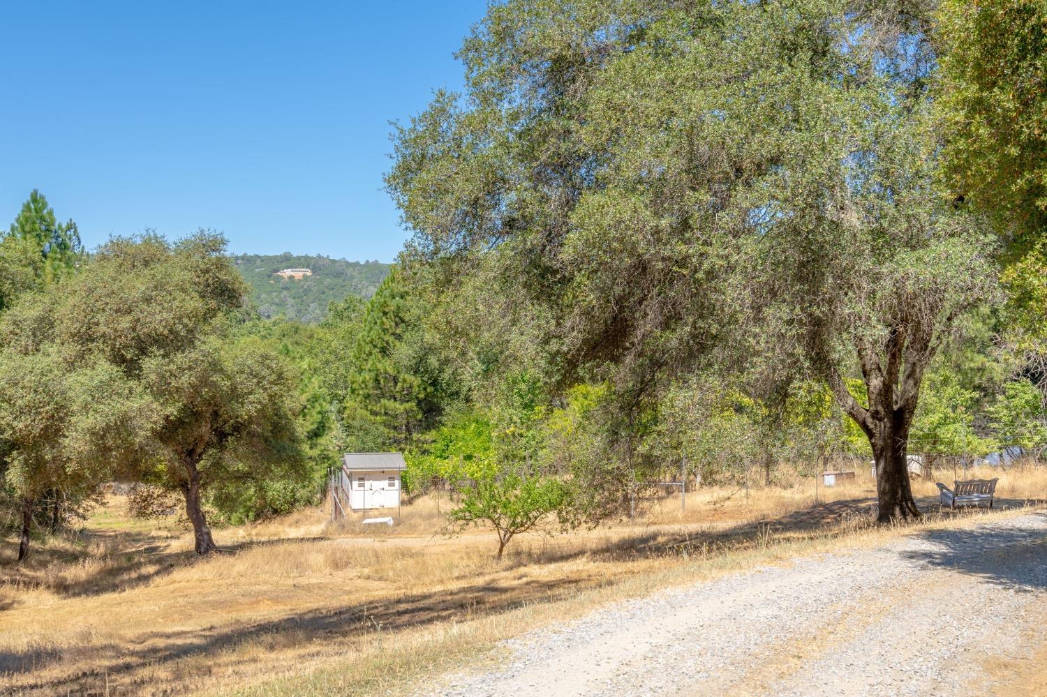 Saint Garth Way, Shingle Springs, California image 44