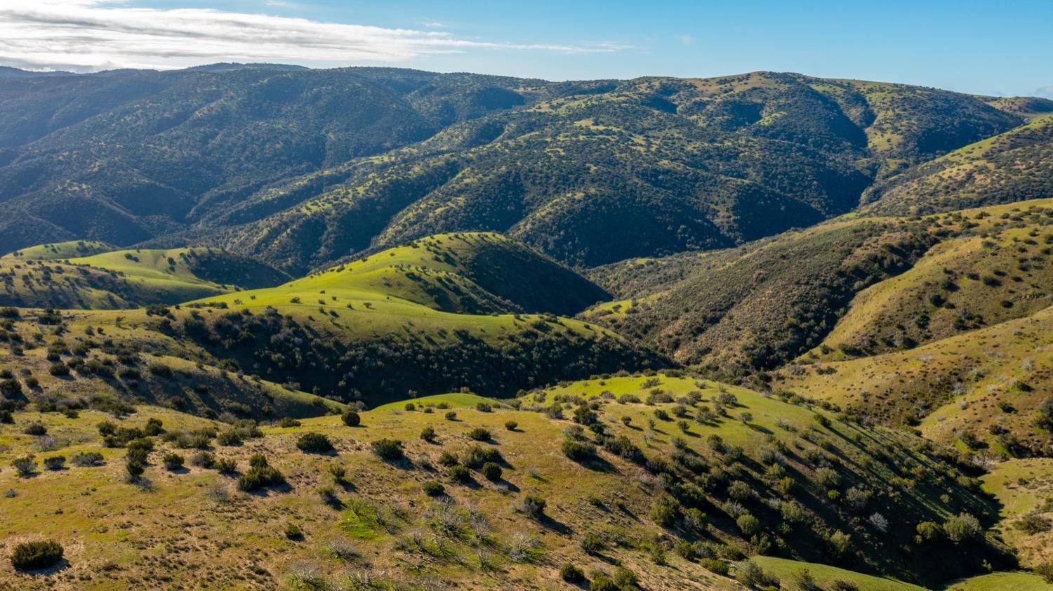 Carissa Highway, Santa Margarita, California image 8