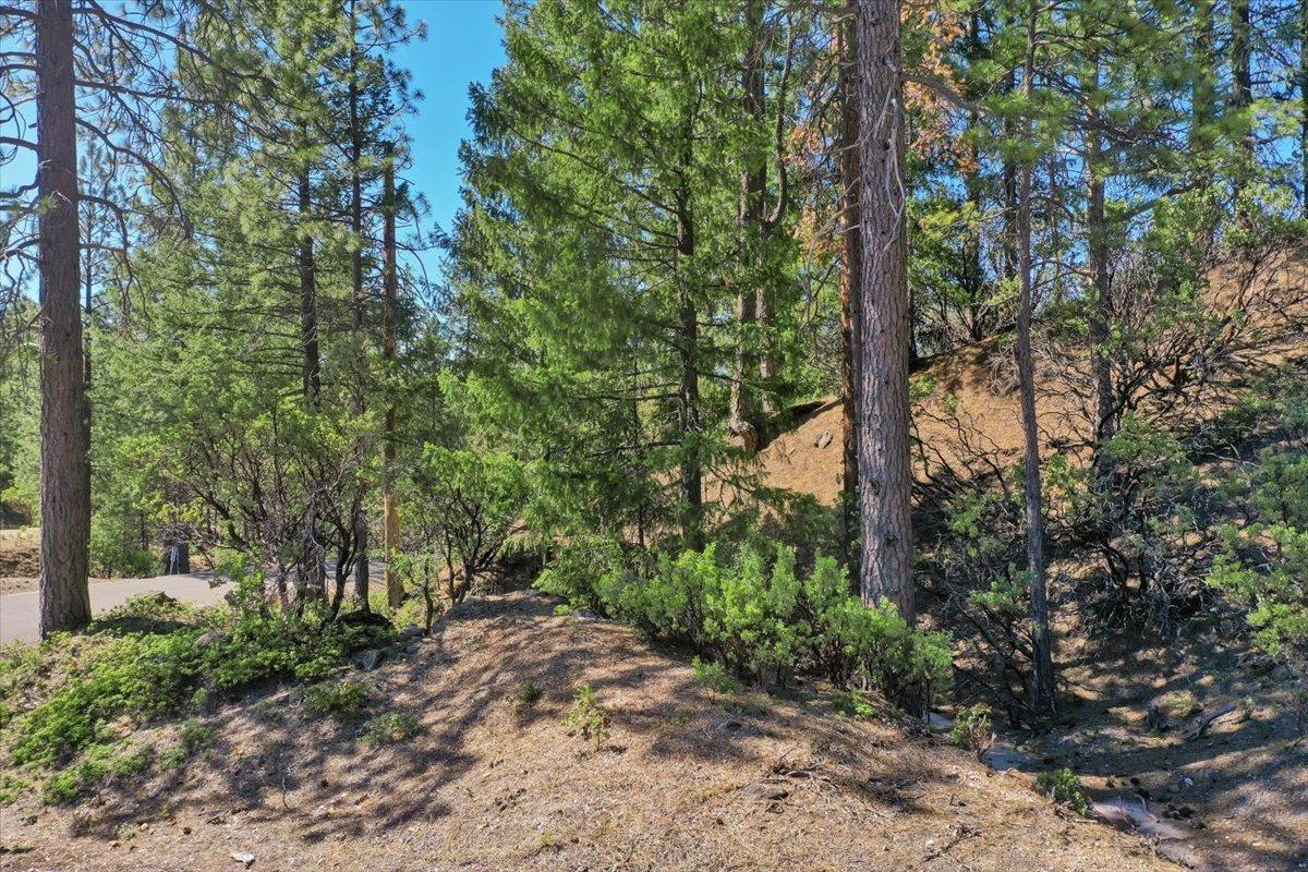 Detail Gallery Image 1 of 1 For 13014 Sailor Flat Rd, Nevada City,  CA 95959 - – Beds | – Baths