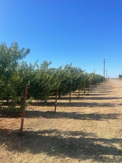 Shy Street, Gustine, California image 13