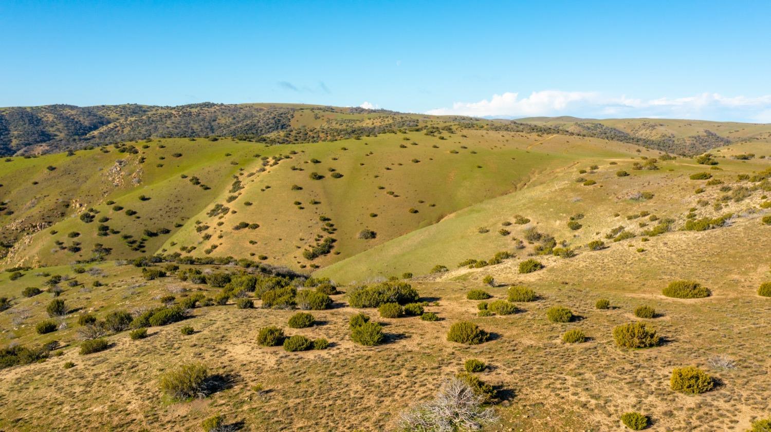 Carissa Highway, Santa Margarita, California image 6