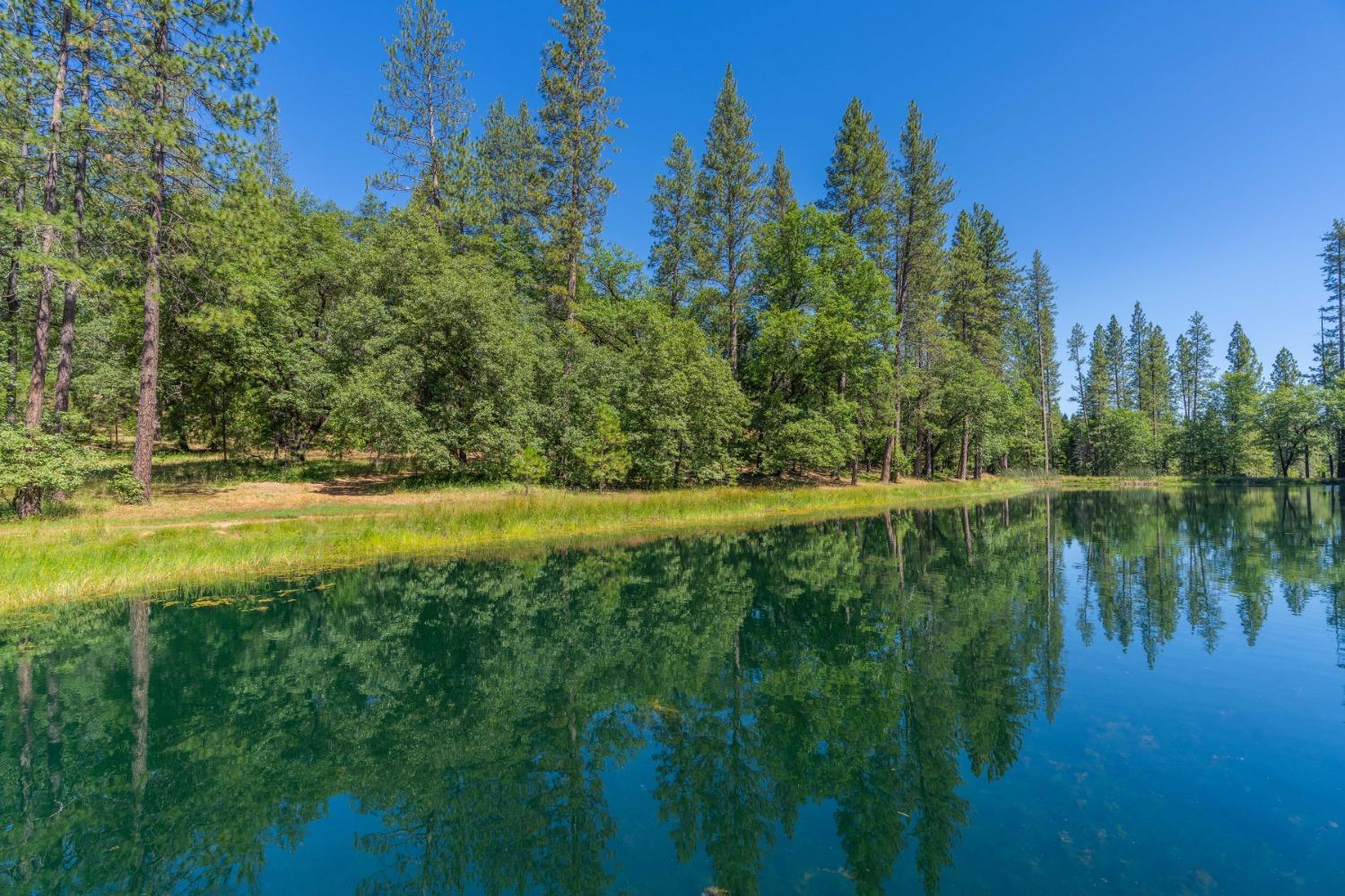 Mccarthy Reservoir Road, Rail Road Flat, California image 11