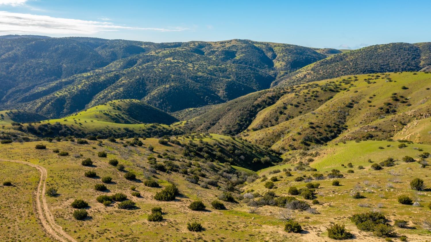 Carissa Highway, Santa Margarita, California image 7