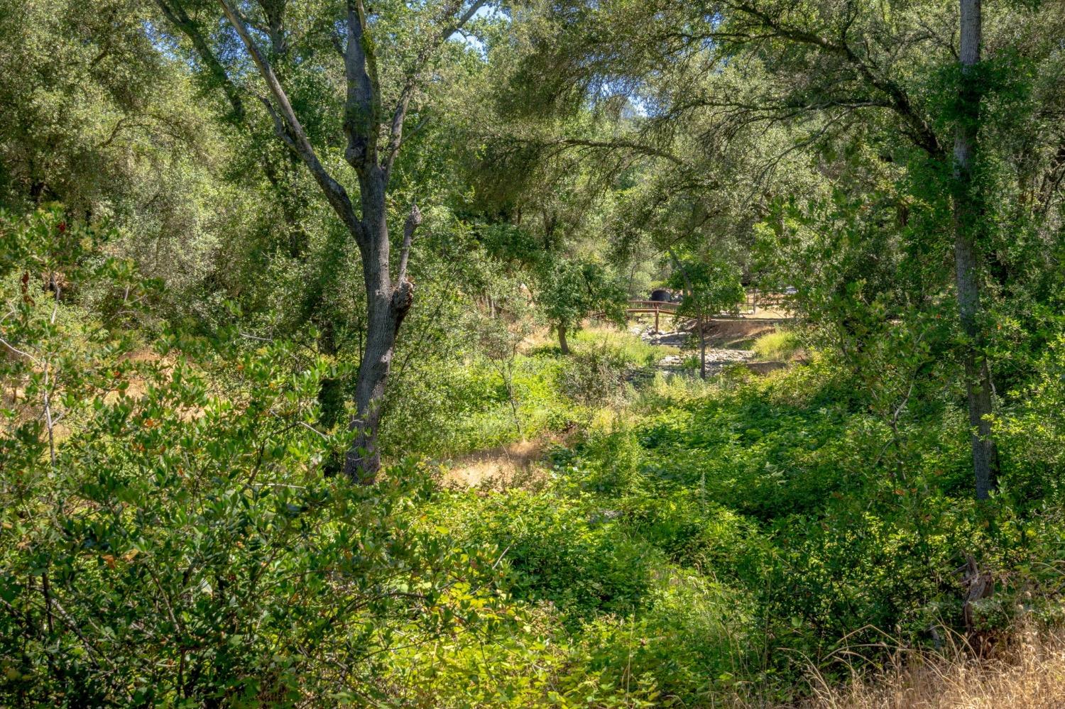 Saint Garth Way, Shingle Springs, California image 46