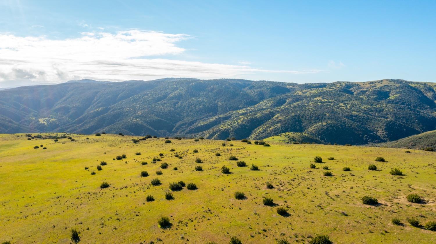 Carissa Highway, Santa Margarita, California image 2