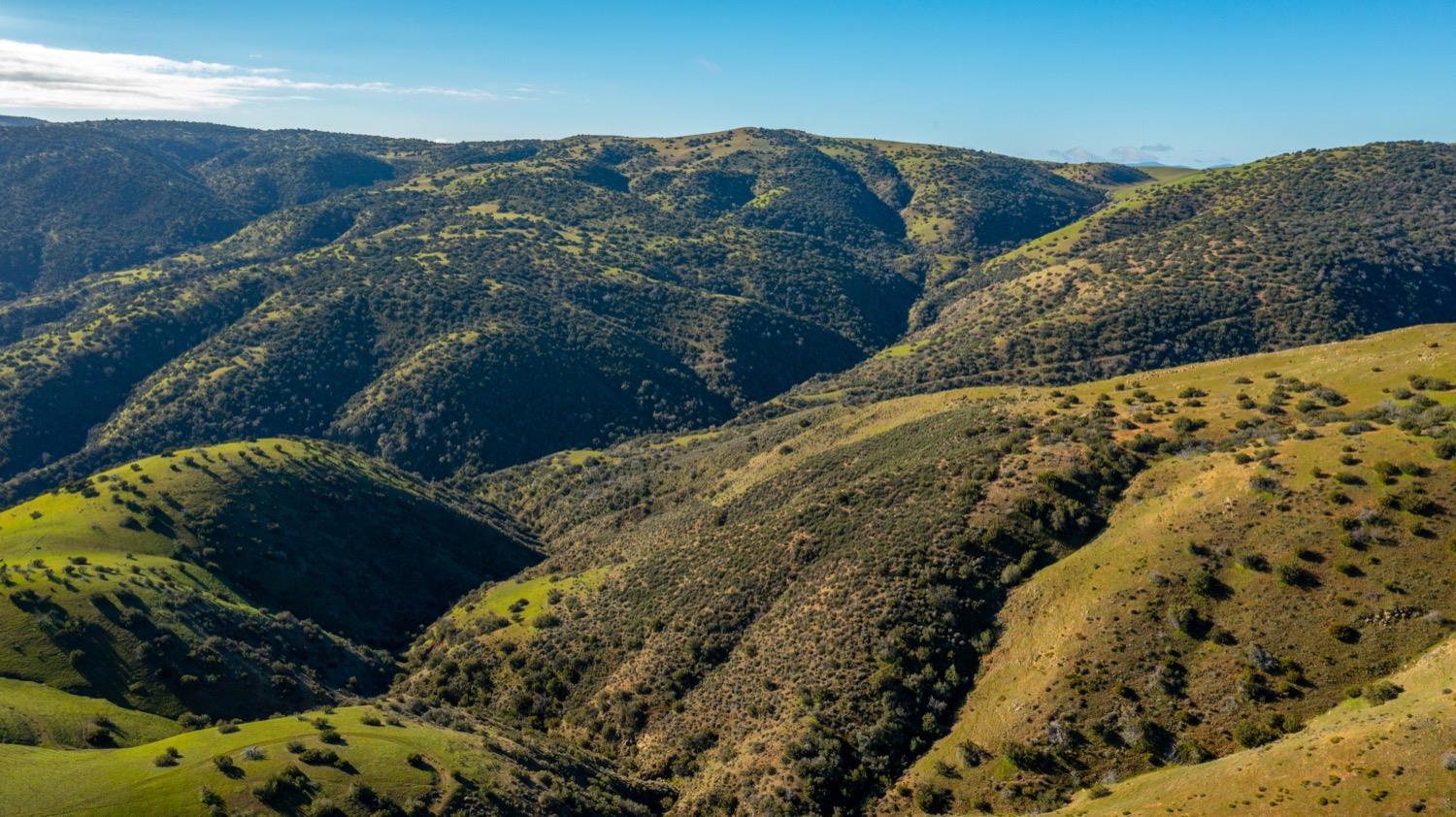 Carissa Highway, Santa Margarita, California image 15