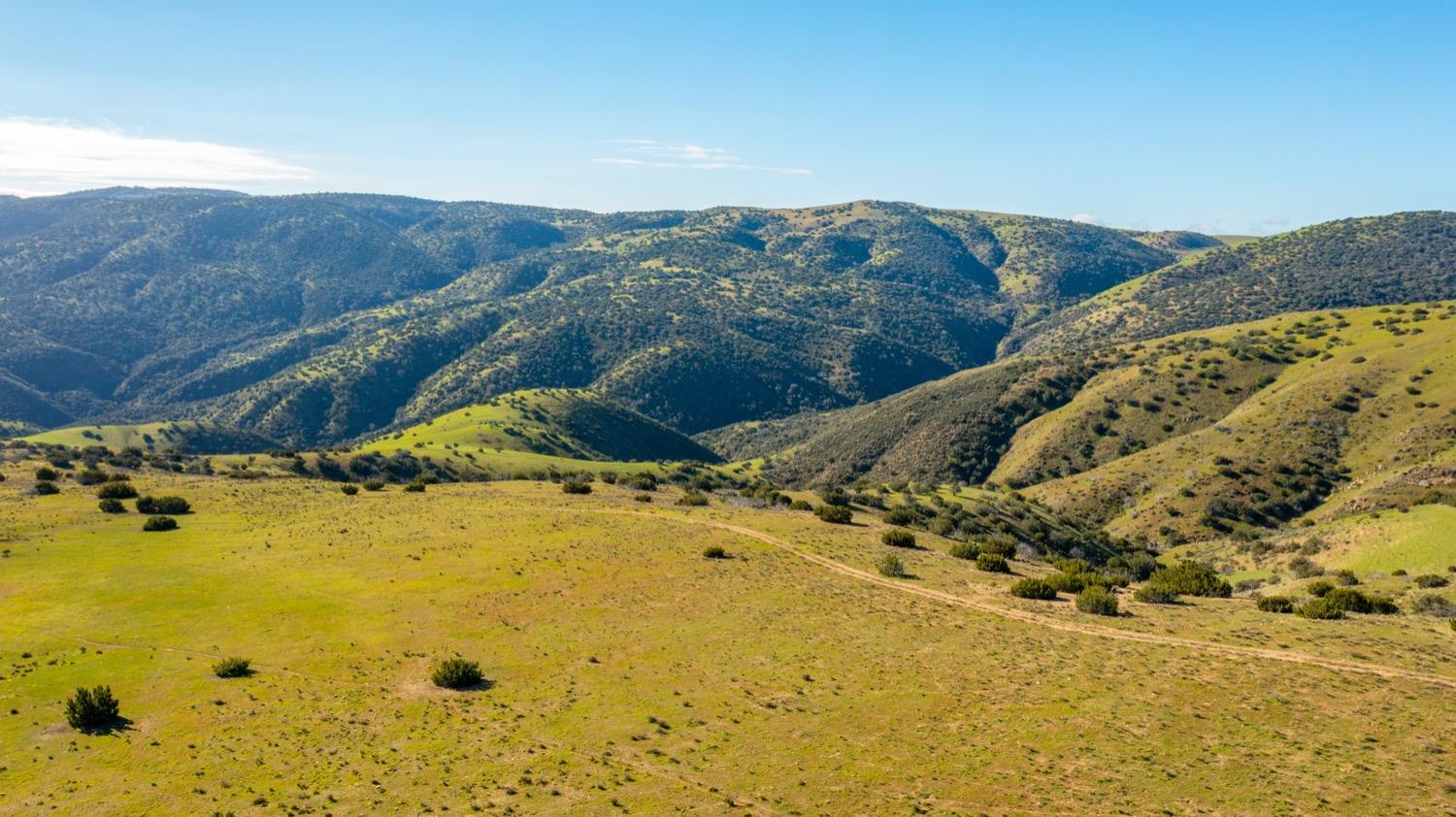 Carissa Highway, Santa Margarita, California image 19