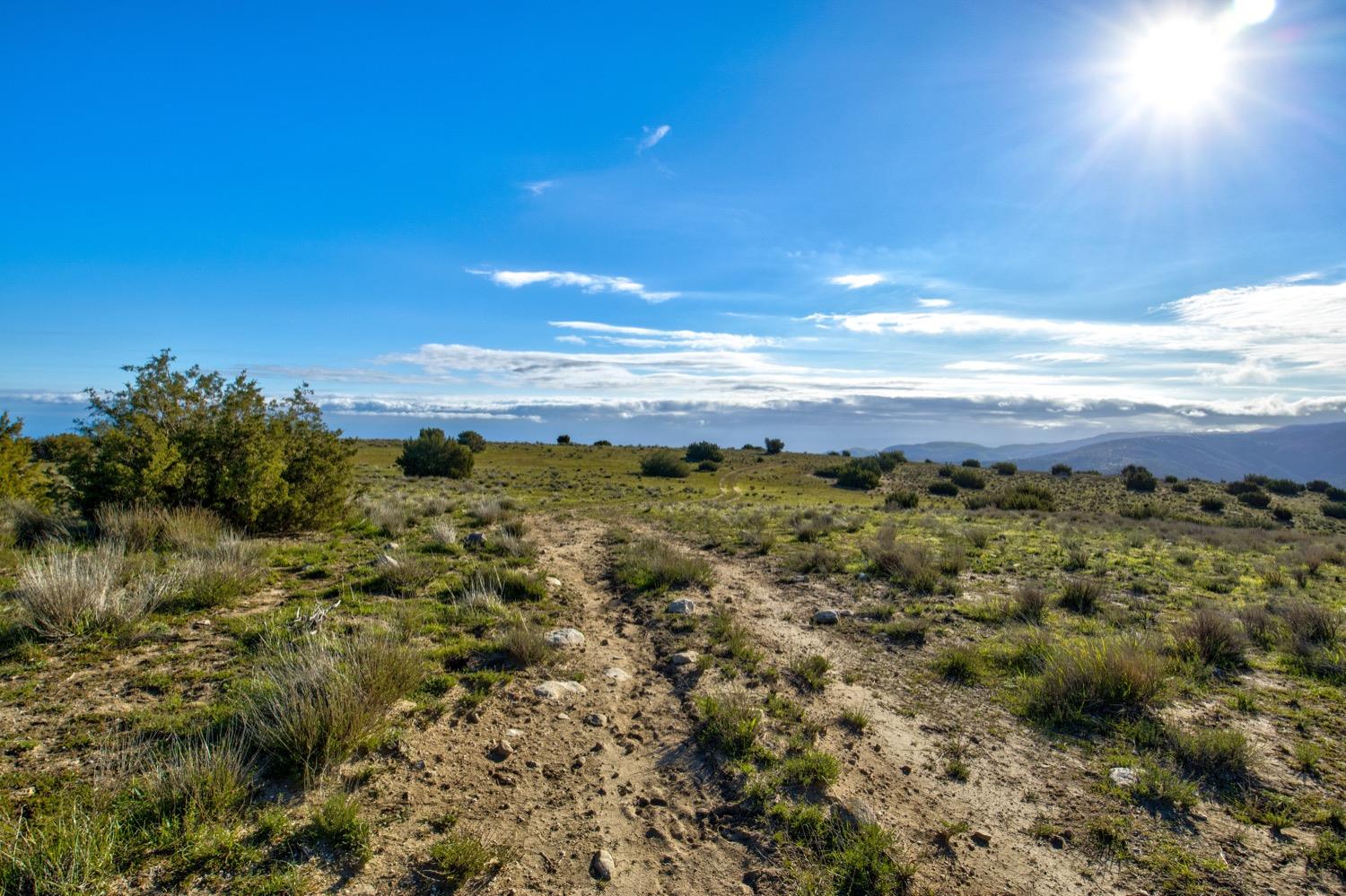 Carissa Highway, Santa Margarita, California image 46