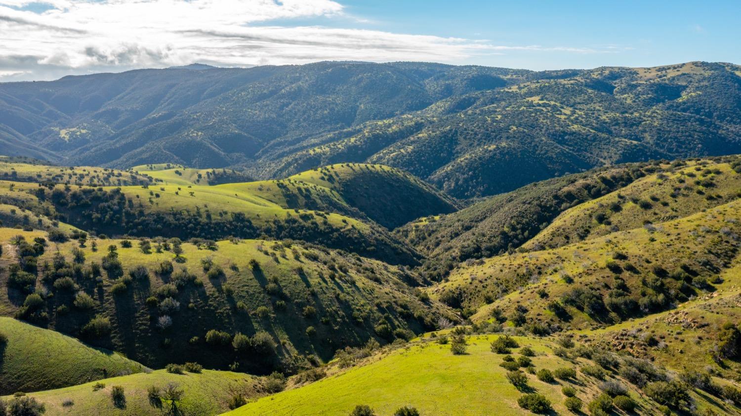 Carissa Highway, Santa Margarita, California image 14