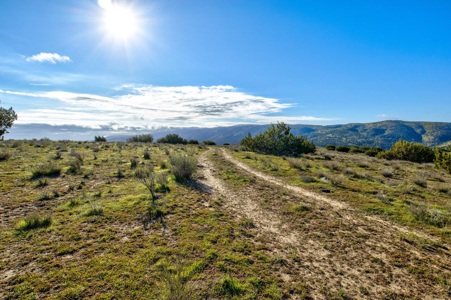 Carissa Highway, Santa Margarita, California image 50