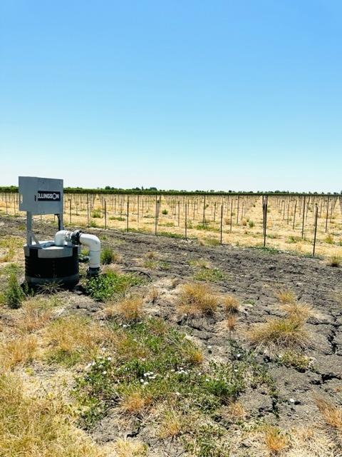 Clarksburg Road, Clarksburg, California image 8