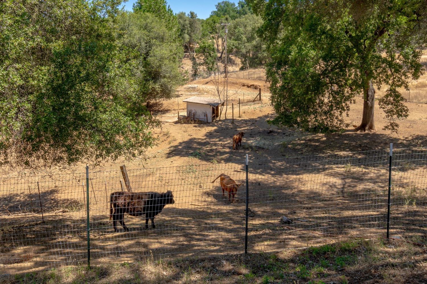 Saint Garth Way, Shingle Springs, California image 39