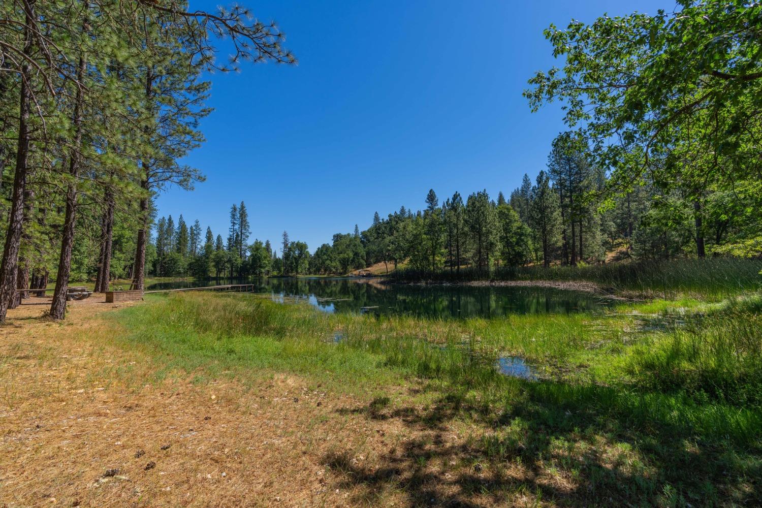 Mccarthy Reservoir Road, Rail Road Flat, California image 10