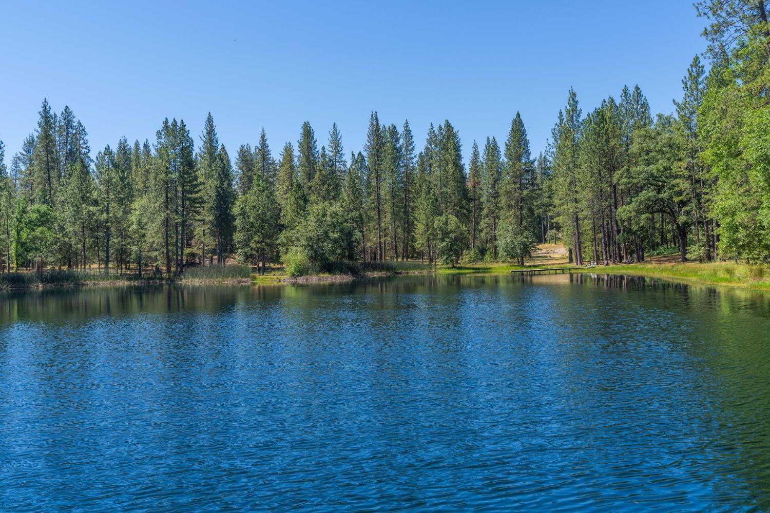 Mccarthy Reservoir Road, Rail Road Flat, California image 13