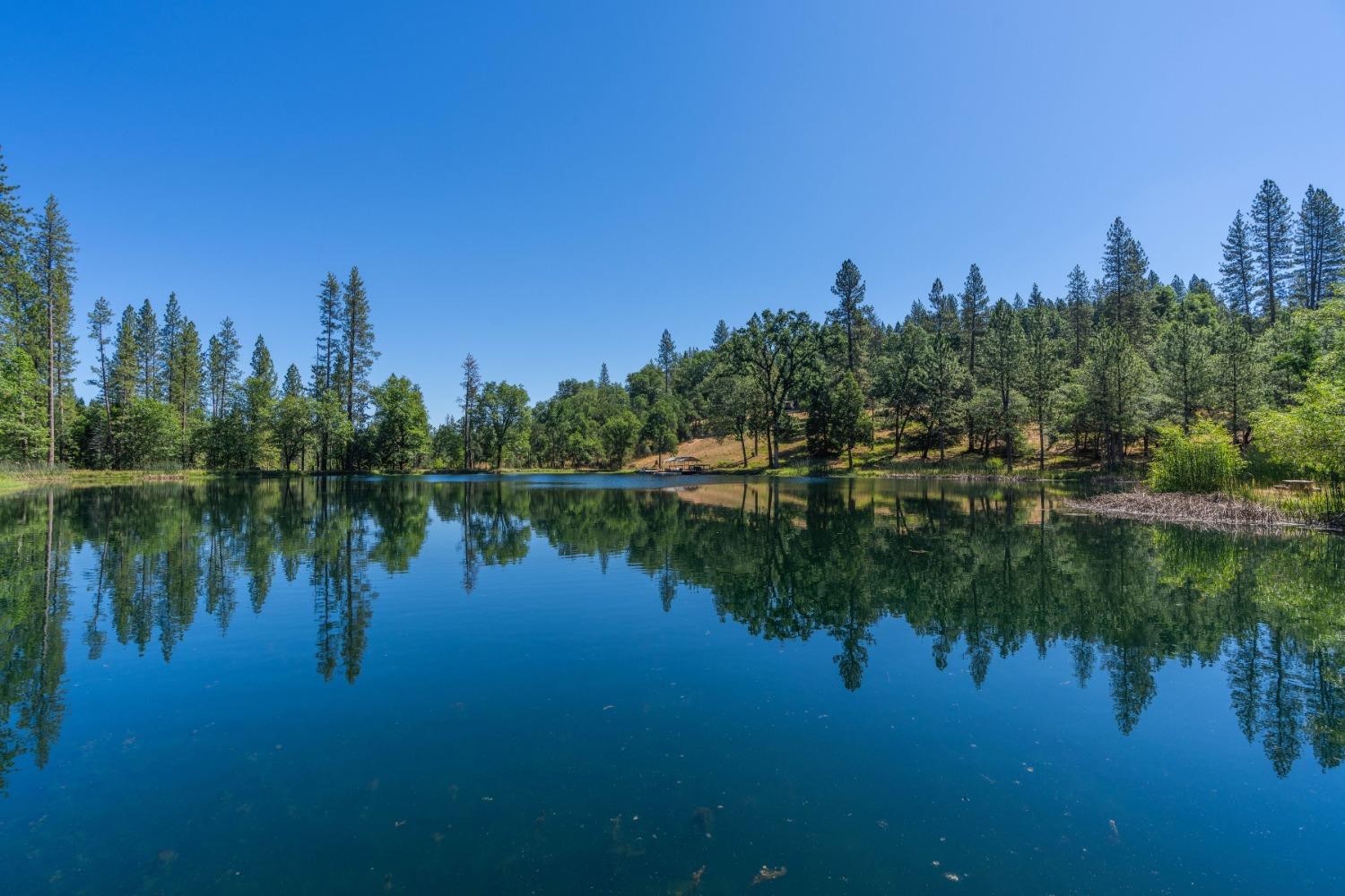 Mccarthy Reservoir Road, Rail Road Flat, California image 8