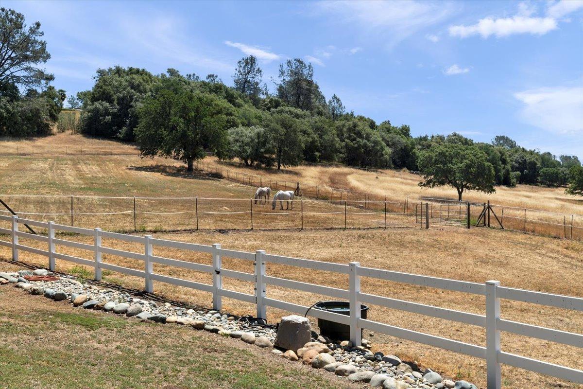 Country View Court, Cool, California image 11