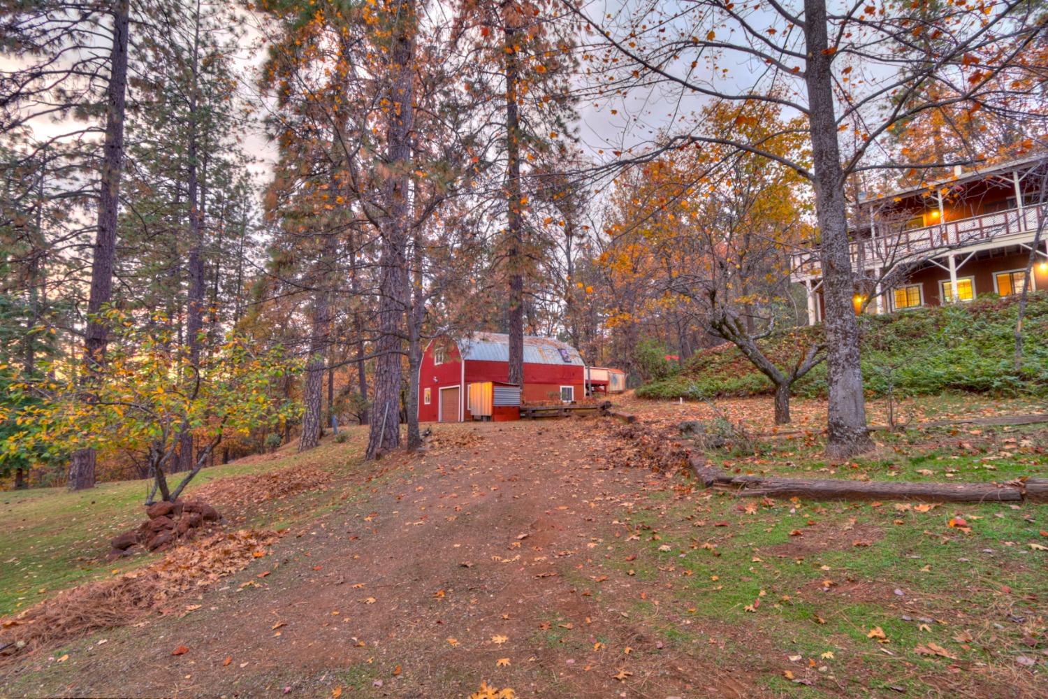 Hidden Meadow Way, Applegate, California image 7