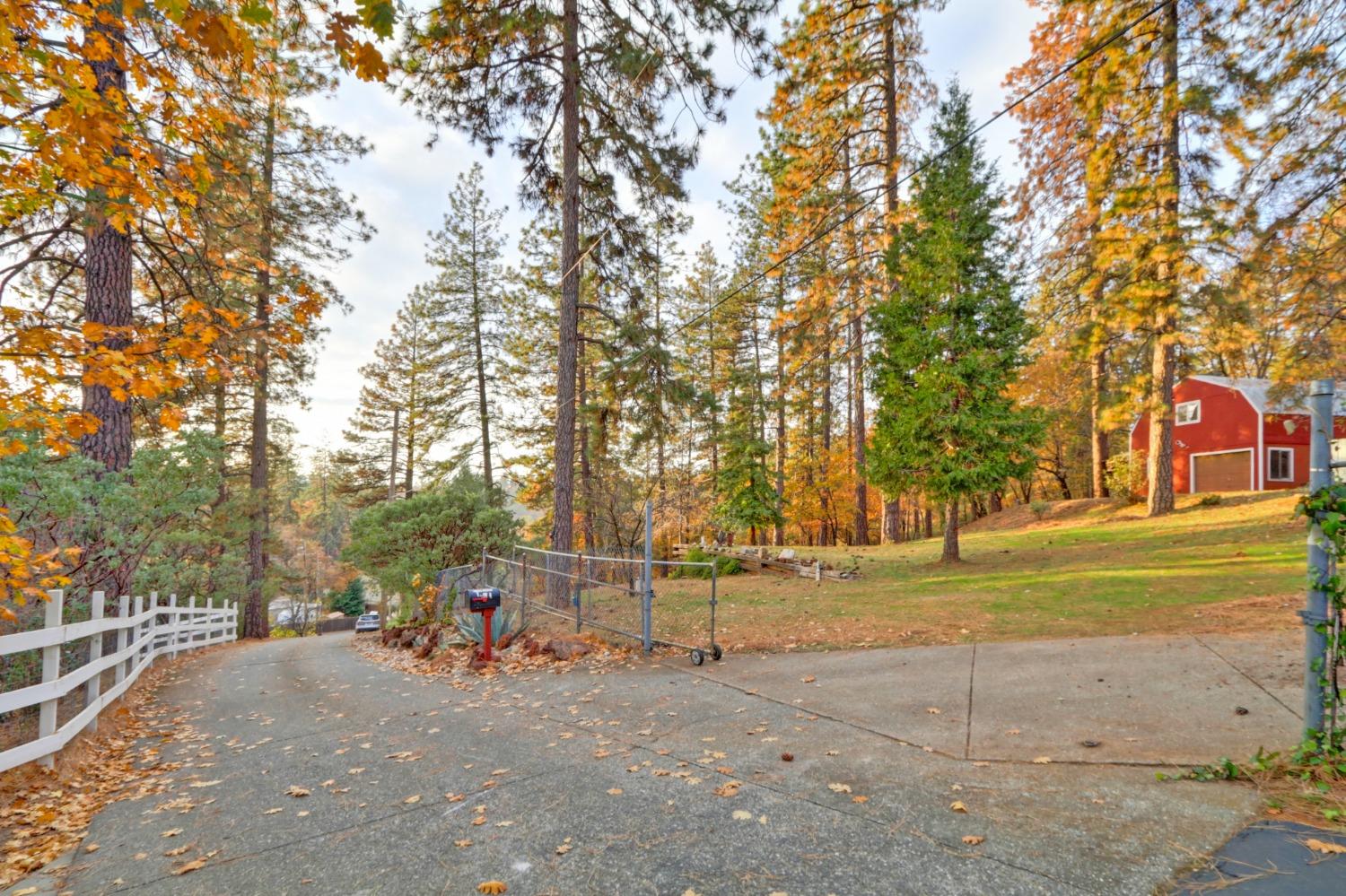 Hidden Meadow Way, Applegate, California image 15