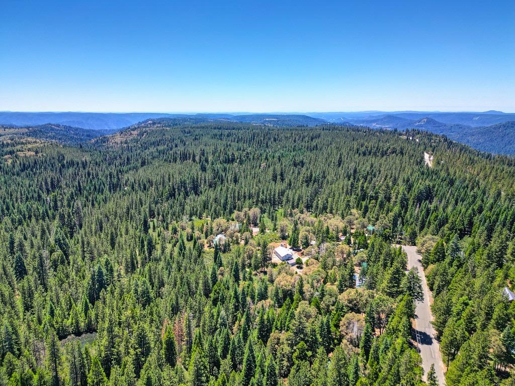 Fulda Road, Emigrant Gap, California image 32