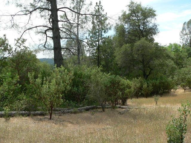 Detail Gallery Image 52 of 90 For 16490 Ponderosa Way, Volcano,  CA 95689 - – Beds | – Baths