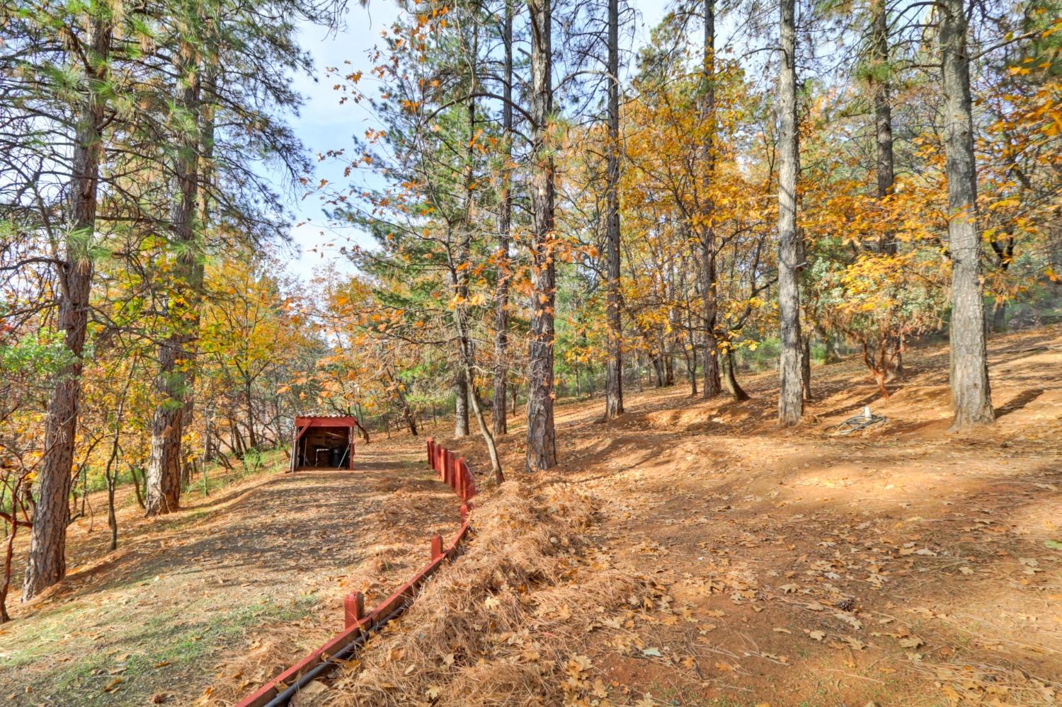 Hidden Meadow Way, Applegate, California image 18