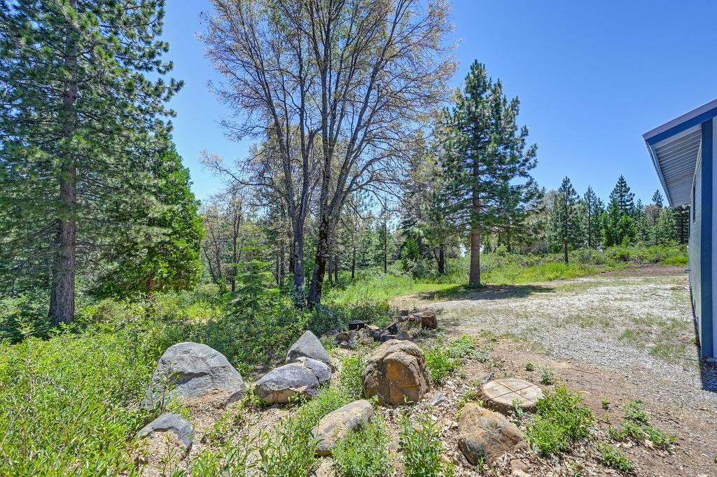 Fulda Road, Emigrant Gap, California image 30