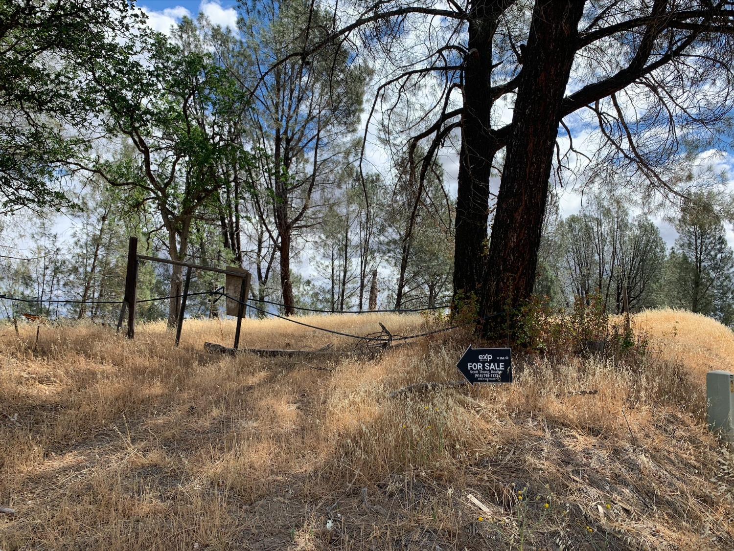 Mallard Lane, Corning, California image 8