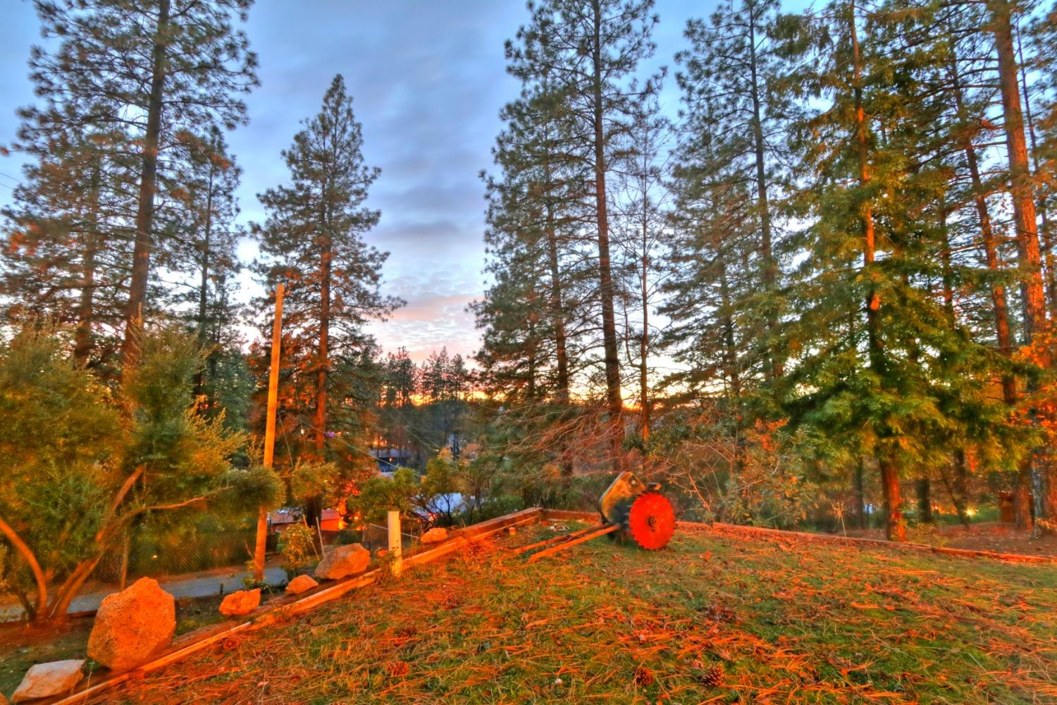 Hidden Meadow Way, Applegate, California image 8