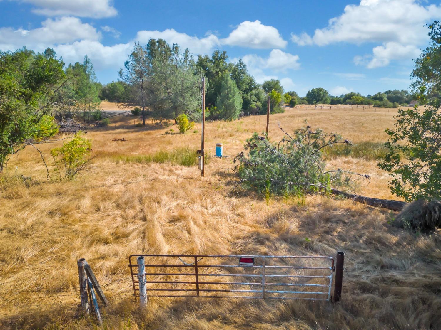 State Highway 16, Plymouth, California image 18