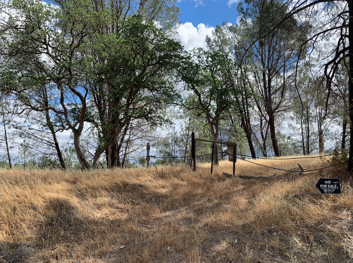 Mallard Lane, Corning, California image 19