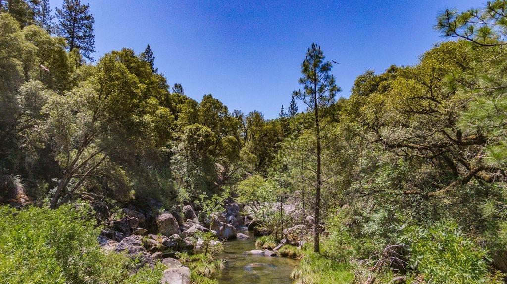 Emigrant Trail, River Pines, California image 7