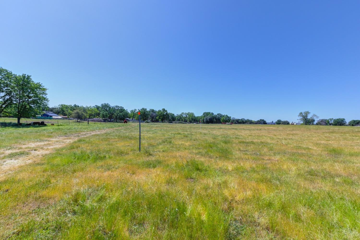 Bankhead Road, Loomis, California image 8