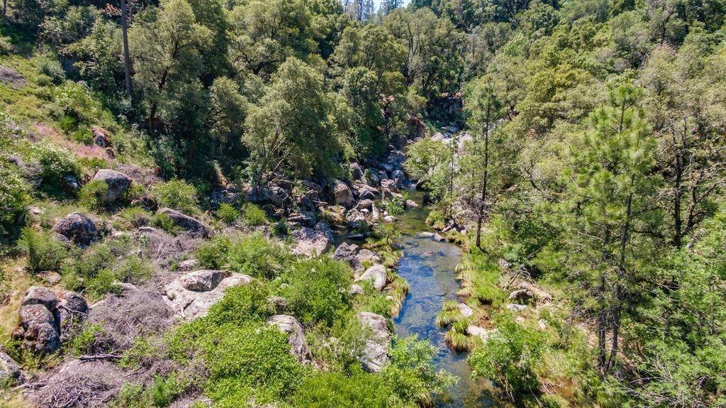 Emigrant Trail, River Pines, California image 1