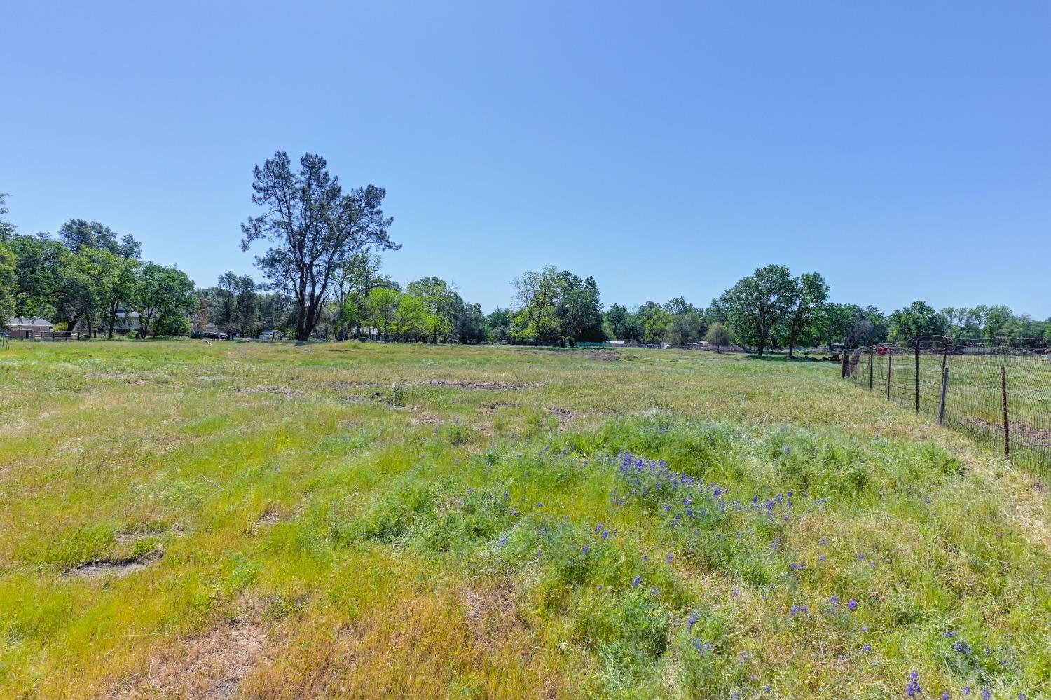 Bankhead Road, Loomis, California image 6