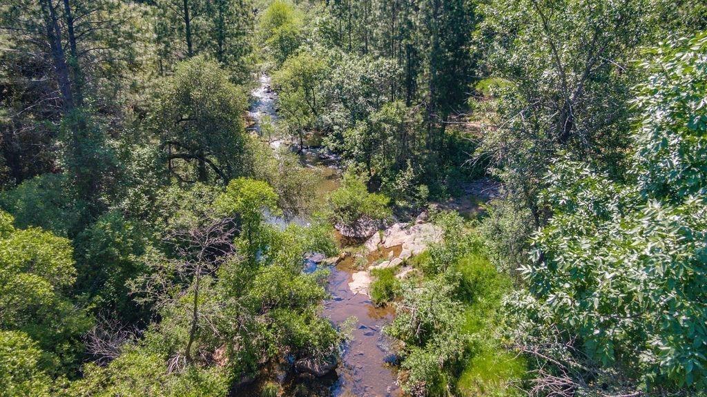 Emigrant Trail, River Pines, California image 3