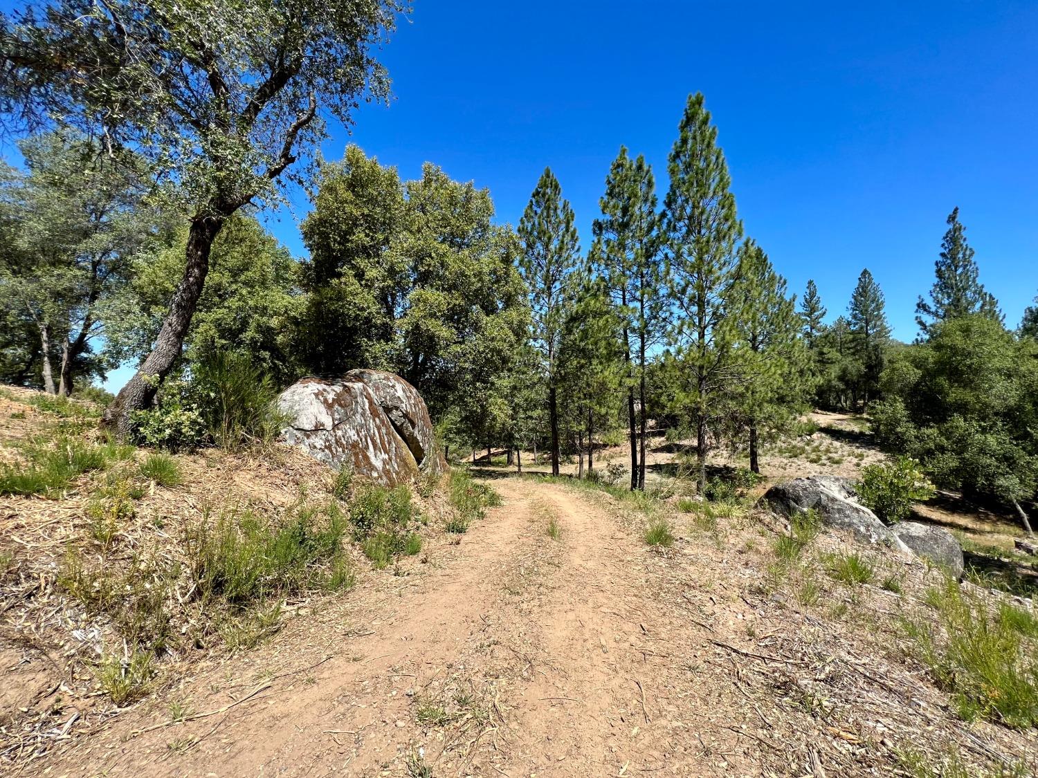 Emigrant Trail, River Pines, California image 37