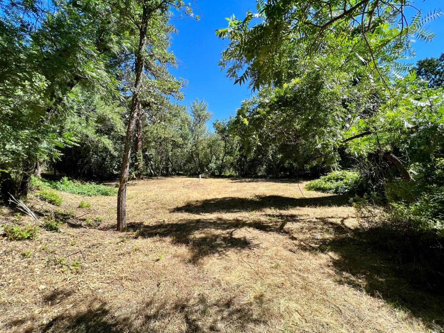 Emigrant Trail, River Pines, California image 9