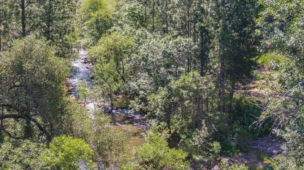 Emigrant Trail, River Pines, California image 2