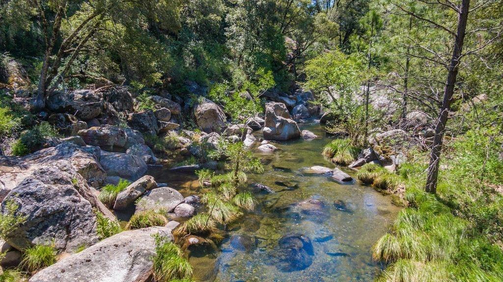 Emigrant Trail, River Pines, California image 4