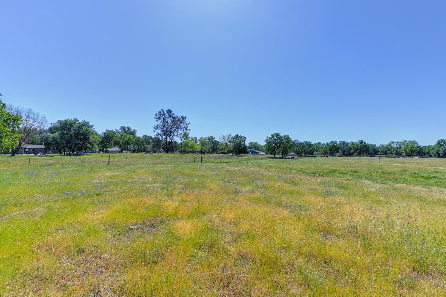 Bankhead Road, Loomis, California image 7