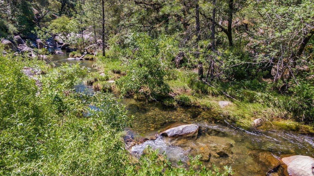 Emigrant Trail, River Pines, California image 6