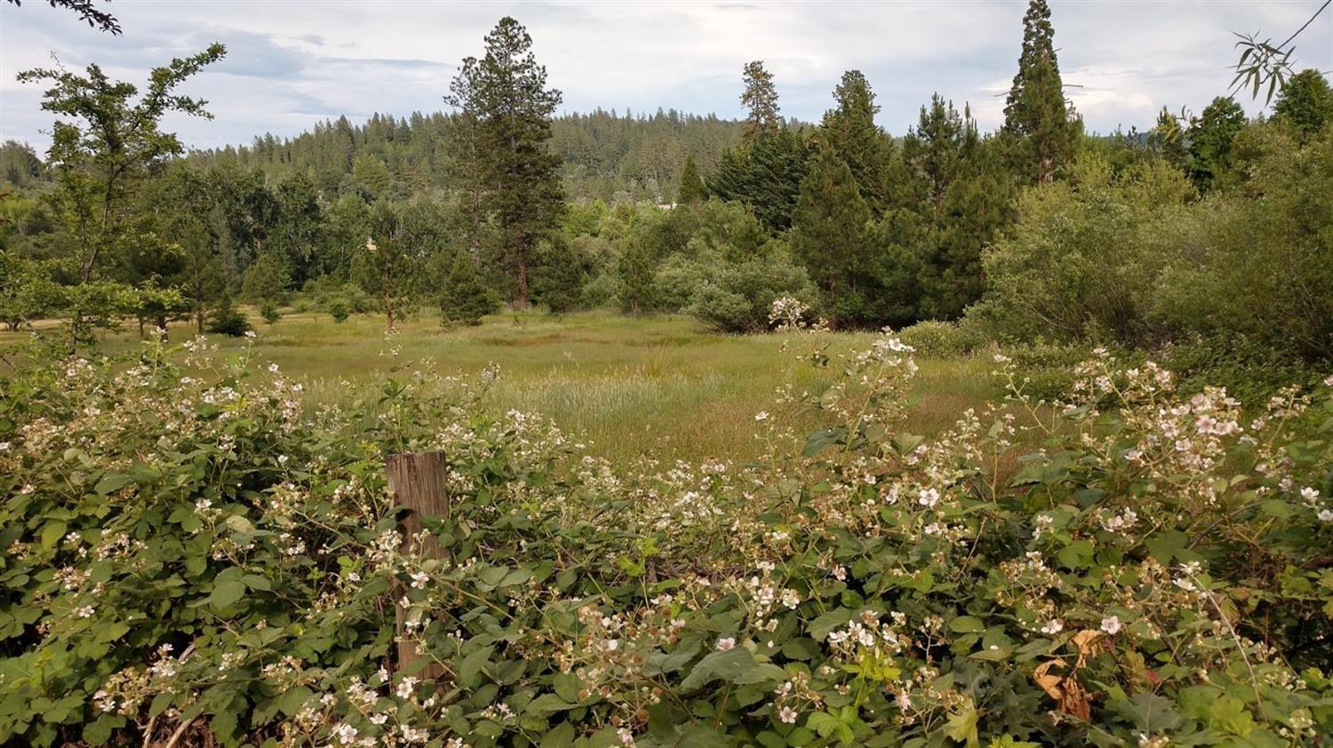 Photo of 427 Woodland Wy in Grass Valley, CA