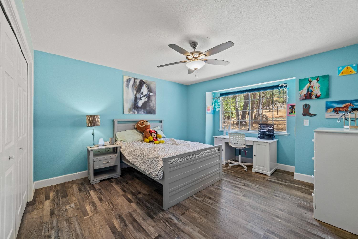 Grandview Circle, Shingle Springs, California image 24
