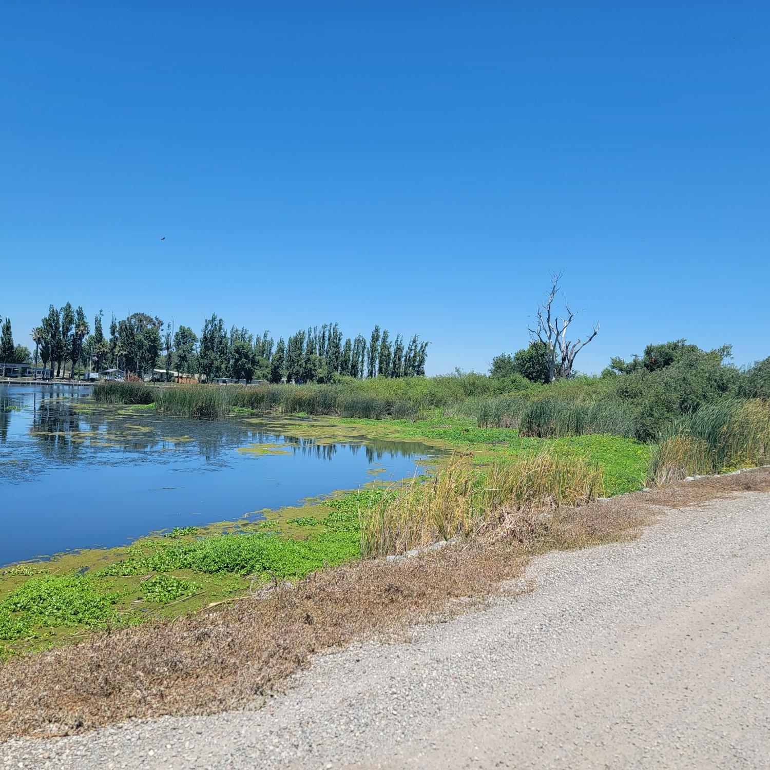 N Zuckerman Road, Stockton, California image 1