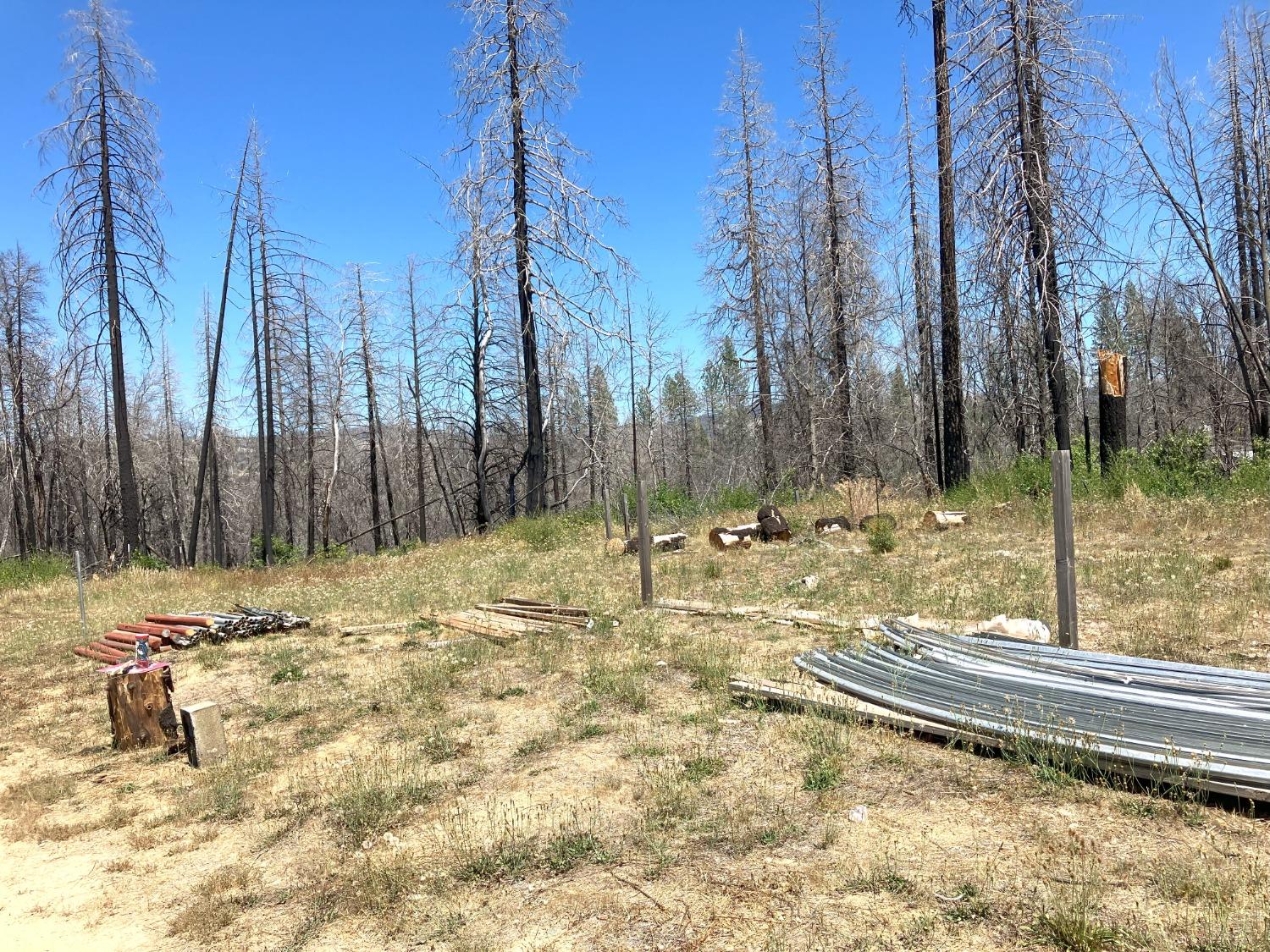 Bromilow Lane, Berry Creek, California image 6